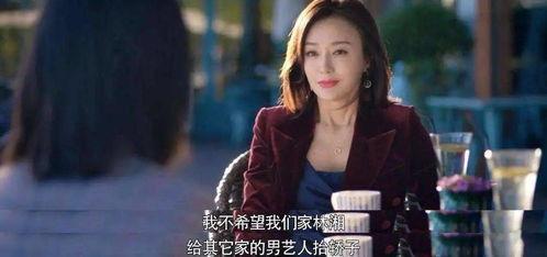 娱乐圈吃瓜短剧小说